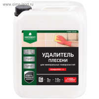 Удалитель плесени Prosept Fungi Clean, концентрат 1:1, 5 л