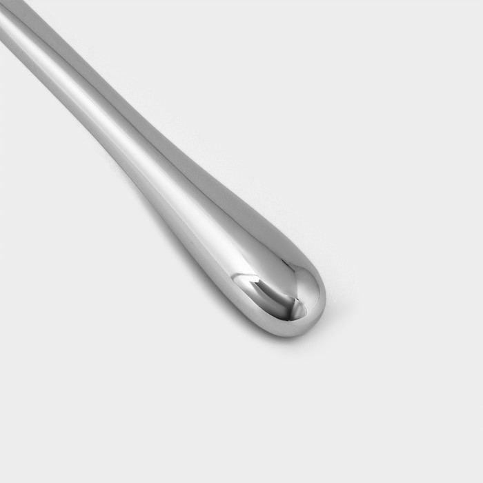 Ложка для мороженого Доляна «Идея», 17×4×2,3 см, нержавеющая сталь Ложка для мороженого Доляна «Идея», 17×4×2,3 см, нержавеющая сталь