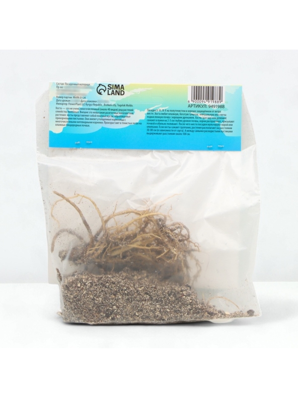 Хоста Guacamole, корневище в пакете с торфогрунтом, р-р I, размер ML,1 шт.