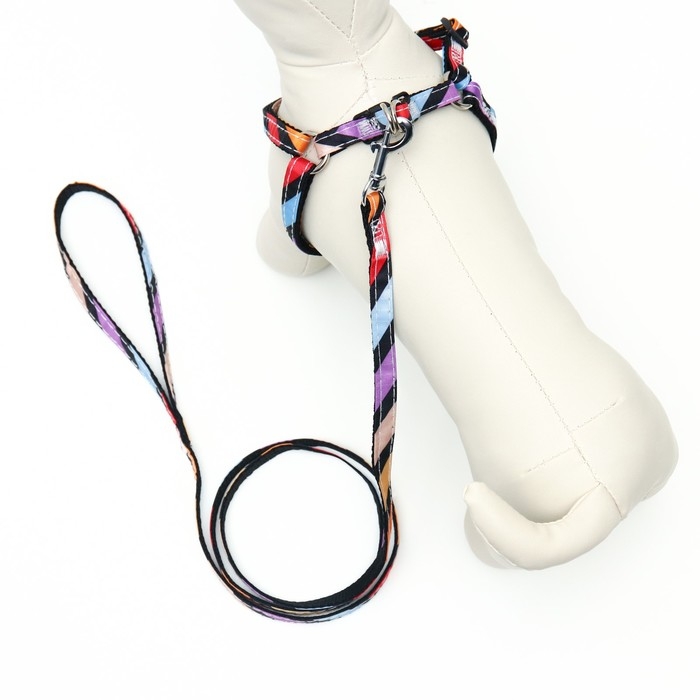 Комплект амуниции двухслойный, S, поводок 120х1 см,ОШ 24-38 ОГ 29-41 см, разноцветные полосы 96837 Комплект амуниции двухслойный, S, поводок 120х1 см,ОШ 24-38 ОГ 29-41 см, разноцветные полосы 96837