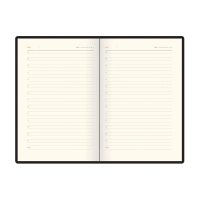 Ежедневник недатированный А5 BOSTON (СИНИЙ) 3-228/06