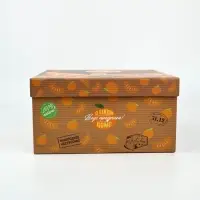 Коробка складная, с крышкой, "Яркие мандарины",Чебурашка, 31 х 25,5 х 16 см