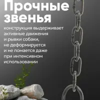 Цепь для привязи собак, 3 м, калибр 4&times;22 мм, черная
