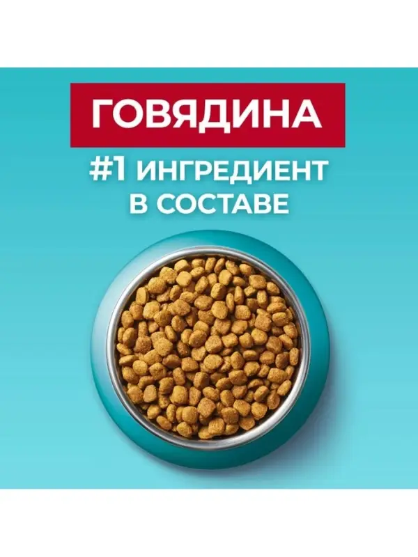 Сухой корм Purina One для стерилизованных кошек, говядина/пшеница,3 кг