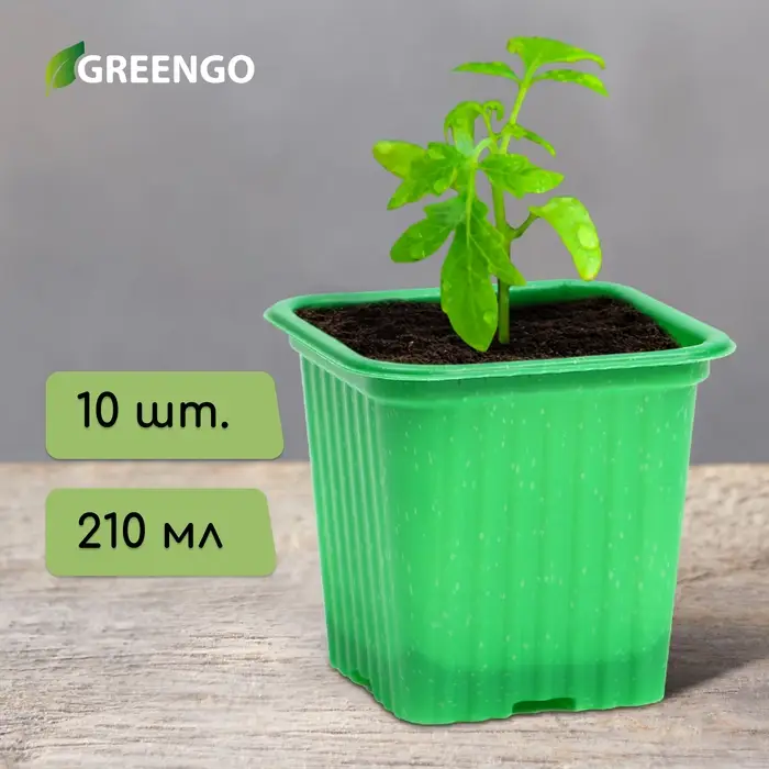 Горшок для рассады, 210 мл, d=7 см, h=6.5 см, зелёный, в наборе 10 шт., Greengo