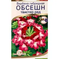 Семена цветов Вербена Обсешн твистер ред Спецсерия Syngenta, Ц/П,5 шт. Семена цветов Вербена Обсешн твистер ред Спецсерия Syngenta, Ц/П,5 шт.