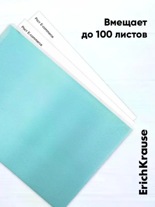 Папка-конверт на ZIP-молнии А4, 180 мкм, ErichKrause Fizzy Pastel, микс, до 100 листов
