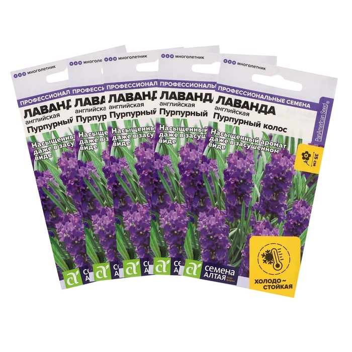 Семена цветов Лаванда  Семена цветов Лаванда "Пурпурный колос",набор 5 шт