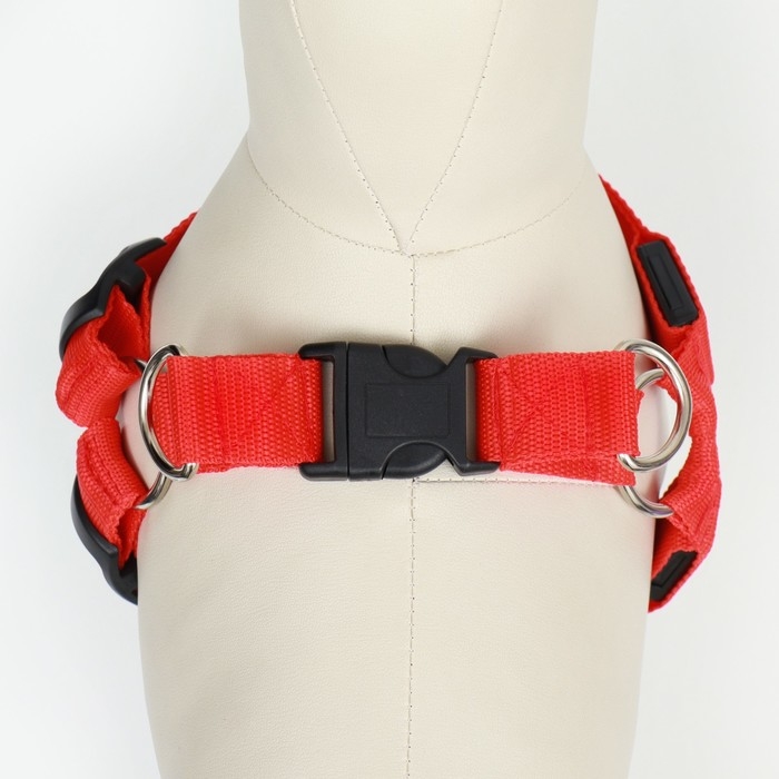 Шлейка светящаяся размер M, стропа 2,5 см, ОГ 38-50 см, 3 режима свечения красная Шлейка светящаяся размер M, стропа 2,5 см, ОГ 38-50 см, 3 режима свечения красная