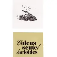 Набор для опытов &laquo;Выращиваем травку&raquo;, своими руками, розовый