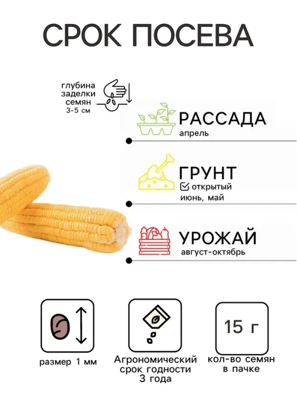 Семена Кукуруза сахарная &laquo;Русское Лакомство&raquo; 15 г 12.28 г