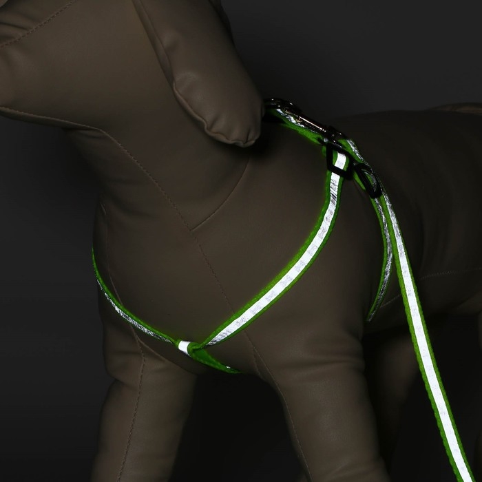 Комплект светоотражающий Комплект светоотражающий "Косточки", ошейник 120 х 1 см, ОШ 26-42 см, ОГ 26-42 см, зелёный