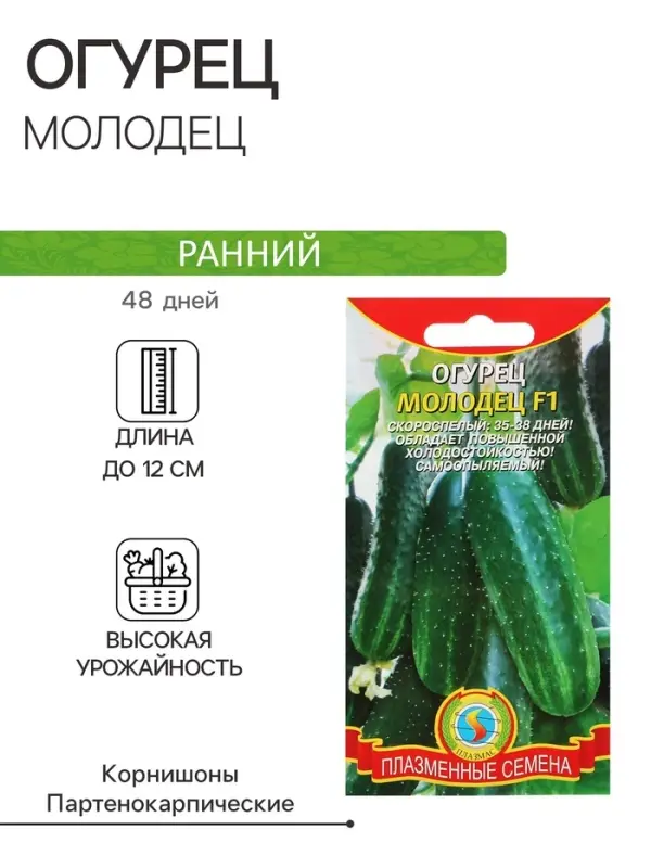 Семена Огурец Семена Огурец "Молодец", F1, 6 шт
