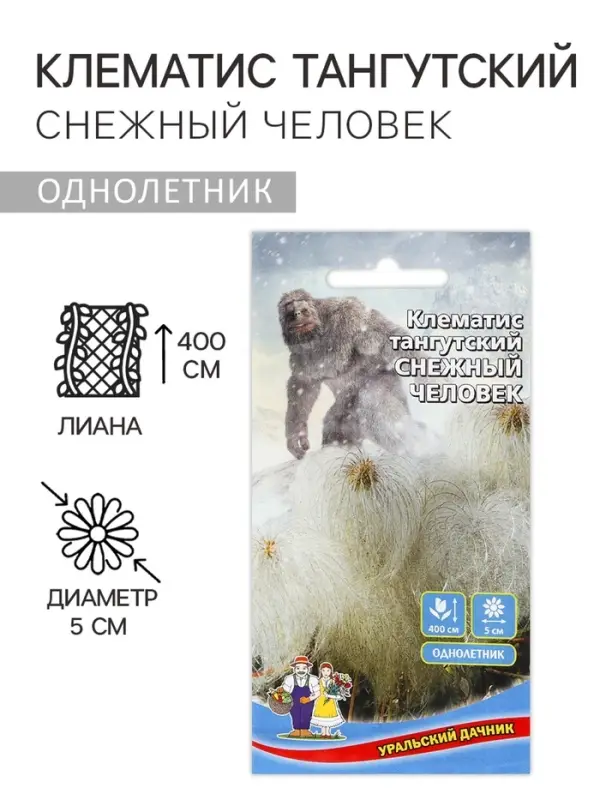 Семена Цветов Клематис тангутский Семена Цветов Клематис тангутский "Снежный человек" ,10 шт ,