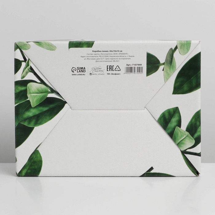 Коробка‒пенал, упаковка подарочная, «Dreams», 26 х 19 х 10 см Коробка‒пенал, упаковка подарочная, «Dreams», 26 х 19 х 10 см