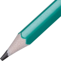 Карандаш чернографитный Выбор есть, НВ, пластик, с ласт, зелен.корп,12шт/уп