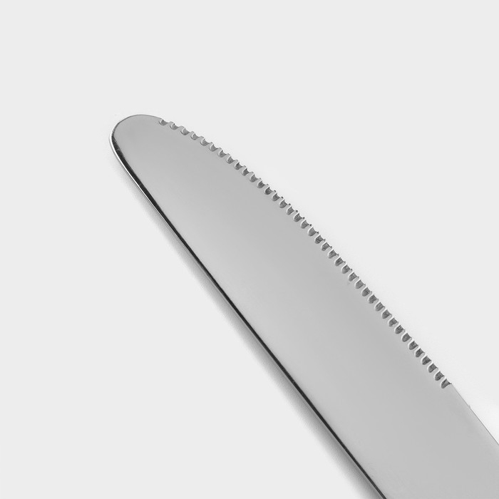 Ножи столовые из нержавеющей стали Доляна «Капля», длина 23 см, 6 шт, цвет серебряный