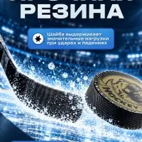 Шайба хоккейная Winter Star, взрослая, d=7.6 см