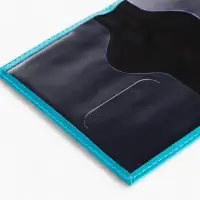 Обложка для паспорта, искусственная кожа, герб 3D, 9.5&times;0.3&times;13.5 см, бирюзовая