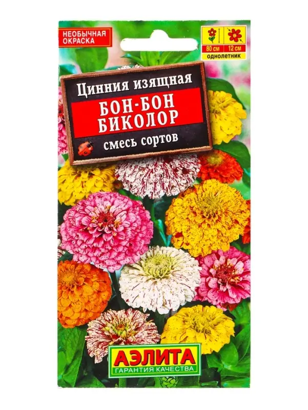 Семена цветов Цинния Бон-бон биколор, смесь сортов , Ц/П,0,3 г Семена цветов Цинния Бон-бон биколор, смесь сортов , Ц/П,0,3 г