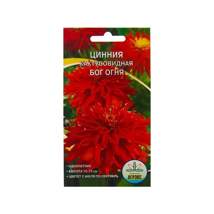 Семена Цветов Цинния кактусовидная Бог огня, 0,2 г Семена Цветов Цинния кактусовидная Бог огня, 0,2 г