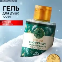 Гель для душа URAL LAB, 100 мл, аромат зимних пряностей, 100 мл, URAL LAB