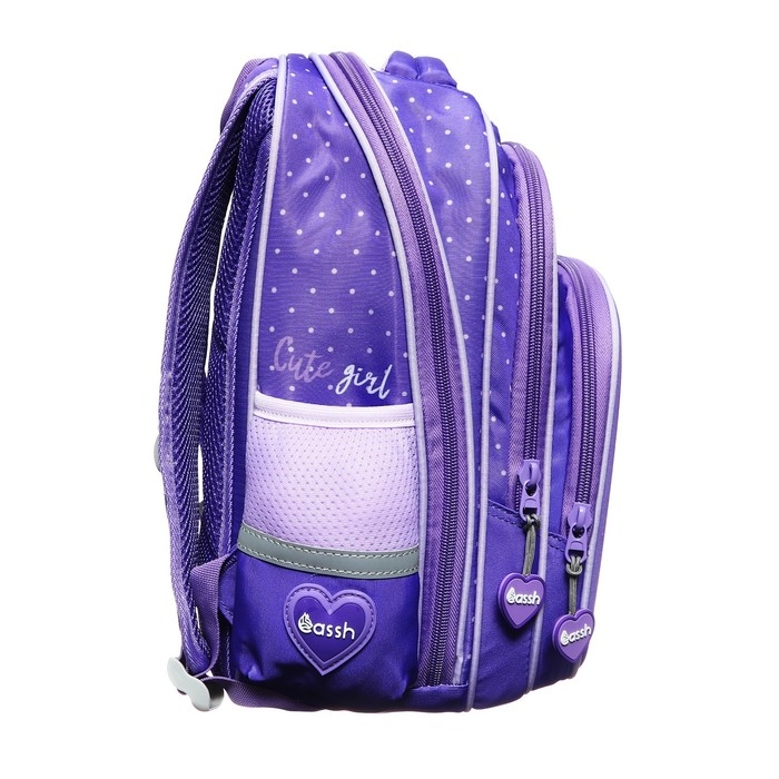 Рюкзак школьный 37 х 28 х 13 см, эргономичная спинка, Across 230, фиолетовый CS23-230-4 Рюкзак школьный 37 х 28 х 13 см, эргономичная спинка, Across 230, фиолетовый CS23-230-4