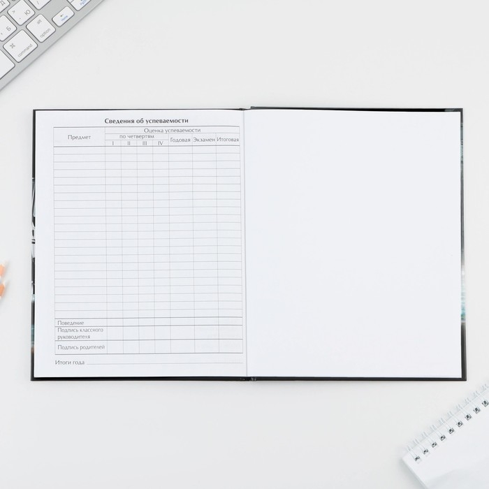 Дневник школьный 1-4 класс &laquo;Первый во всём&raquo;, твердая обложка 7БЦ, глянцевая ламинация, 48 листов