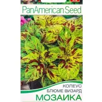 Семена цветов Колеус блюме Мозаика Мн Спецсерия PanAmerican, Ц/П,5 шт. Семена цветов Колеус блюме Мозаика Мн Спецсерия PanAmerican, Ц/П,5 шт.