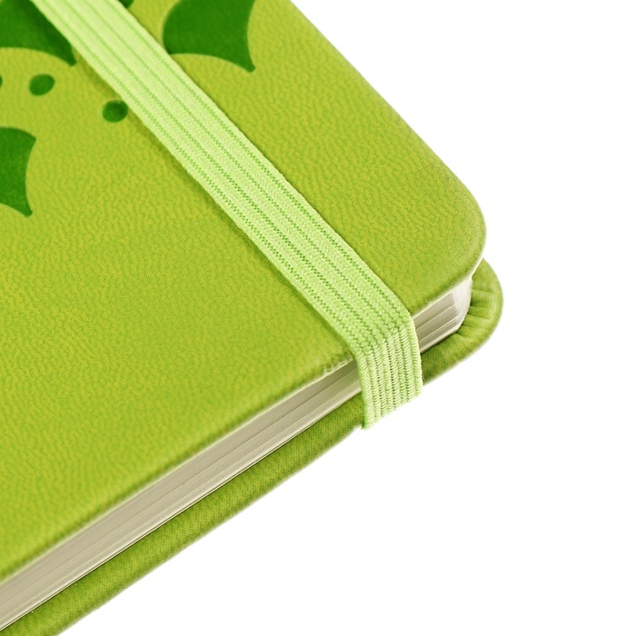 Ежедневник недатированный, формат А6, 100 листов, в клетку, обложка кожзам, на резинке, зелёный