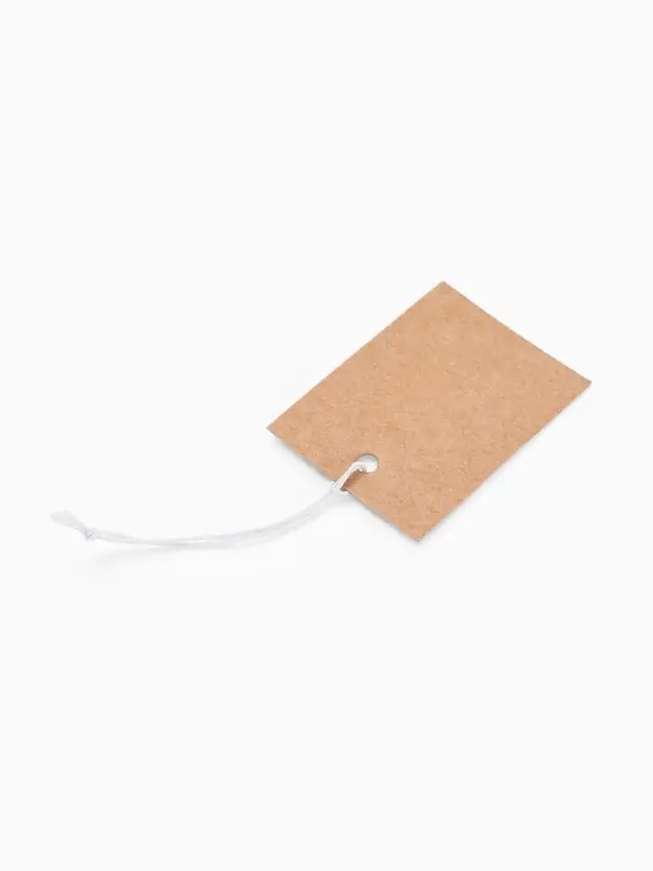 Ценники на верёвке &laquo;Крафт&raquo;, 100 шт. отверстие 3 мм, 3&times;4 см, бежевый