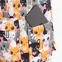 Рюкзак школьный &laquo;Котики&raquo;, с пеналом, 29&times;12&times;41 см, разноцветный