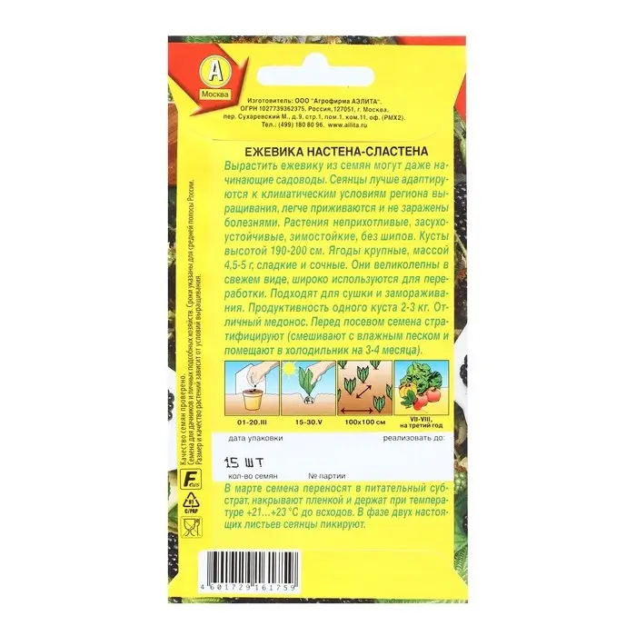 Семена Ежевика  Семена Ежевика "Настена-сластена", 15 шт