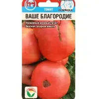 Семена Томат &laquo;Ваше благородие&raquo;, 20 шт., &laquo;Сибирский сад&raquo;