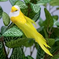 Декор на прищепке &laquo;Птица&raquo;, МИКС, 10&times;3&times;3 см