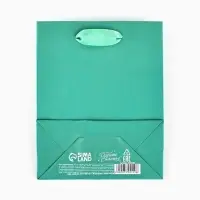 Пакет подарочный ламинированный, упаковка, &laquo;Тиффани&raquo;, S 12&times;15&times;5.5 см