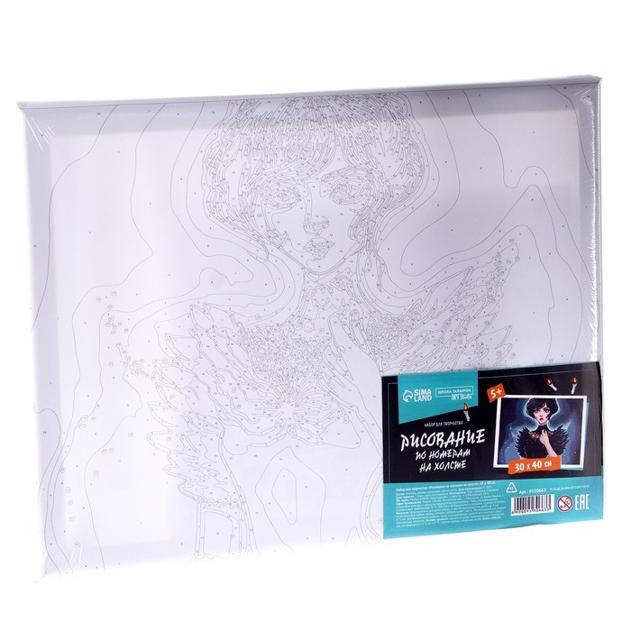 Картина по номерам на холсте с подрамником «Таинственная девушка», 30 х 40 см Картина по номерам на холсте с подрамником «Таинственная девушка», 30 х 40 см