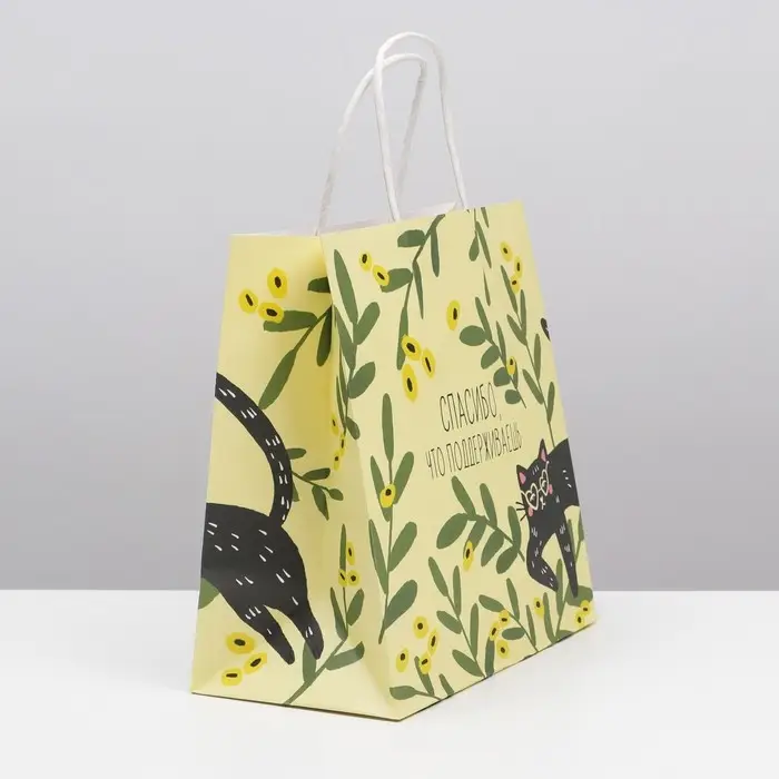 Пакет подарочный, упаковка, &laquo;Котейка&raquo;, 22 х 22 х 11 см