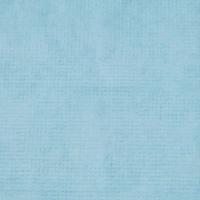 Салфетки бумажные Luscan Profi Pack 1сл24х24 пастель голубые400 шт/уп