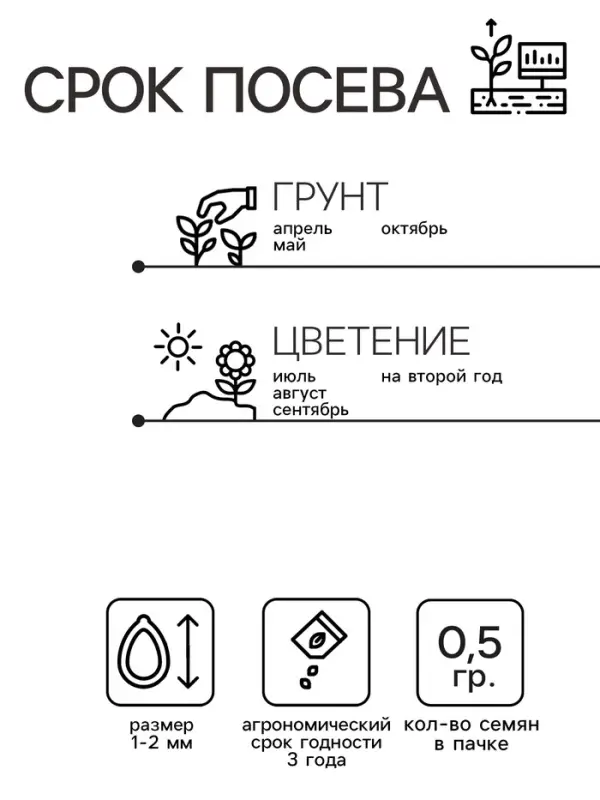 Семена цветов Нивяник  Семена цветов Нивяник "Гигант", крупноцветковый, Ц/П, 0,5 г