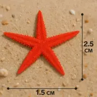 Набор натуральных морских звезд, 1.5 - 2.5 см, 20 шт., красные - белые