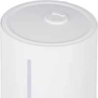 Увлажнитель BigTech ZSH001  (4 л. электр. С пультом)