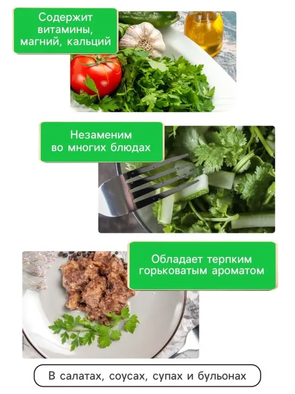 Семена Кориандр - кинза &laquo;Кин-Дза-Дза&raquo;, 2 г, &laquo;Рецепты дедушки Никиты&raquo;