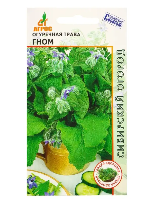 Семена Огуречная трава Семена Огуречная трава "Гном" 0,5 г