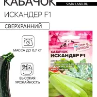 Семена Кабачок &laquo;Искандер&raquo;, F1, 5 шт., &laquo;Семена Алтая&raquo;