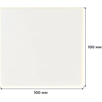 Термотрансферные этикетки ПГЛ 100х100, 1000 шт/рул,вт.76 6 рул/уп