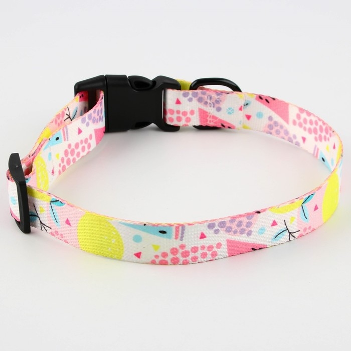 Ошейник «Сочное настроение», застёжка - фастекс, 2.5 см, 40-55 см Ошейник «Сочное настроение», застёжка - фастекс, 2.5 см, 40-55 см