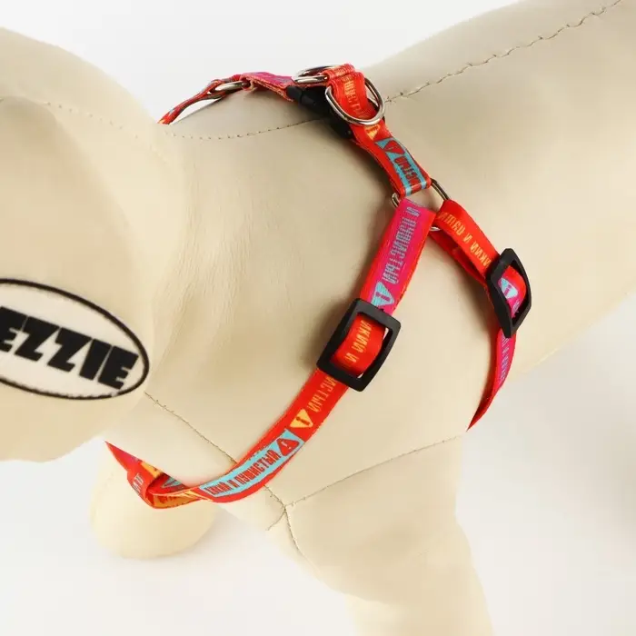 Поводок «Дикий и пушистый» 120×1 см, шлейка 24-36 см