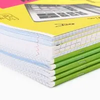 Тетради предметные, 48 л., набор из 10 шт., блок №1, уф лак, матовая ламинация &laquo;Яркий&raquo;