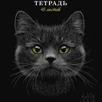 Тетрадь 48л А5ф клетка 60-65г/кв.м на скобе Обл. мел.картон мат.ламин. 3D лак МИКС